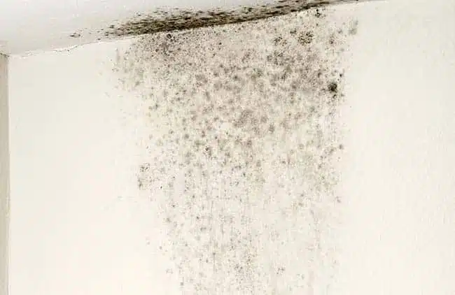 Beyond Comfort: Why Humidity Control Is the Missing Link in Indoor Air Quality