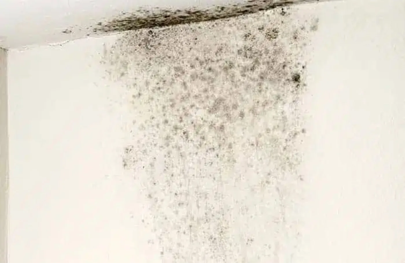Beyond Comfort: Why Humidity Control Is the Missing Link in Indoor Air Quality