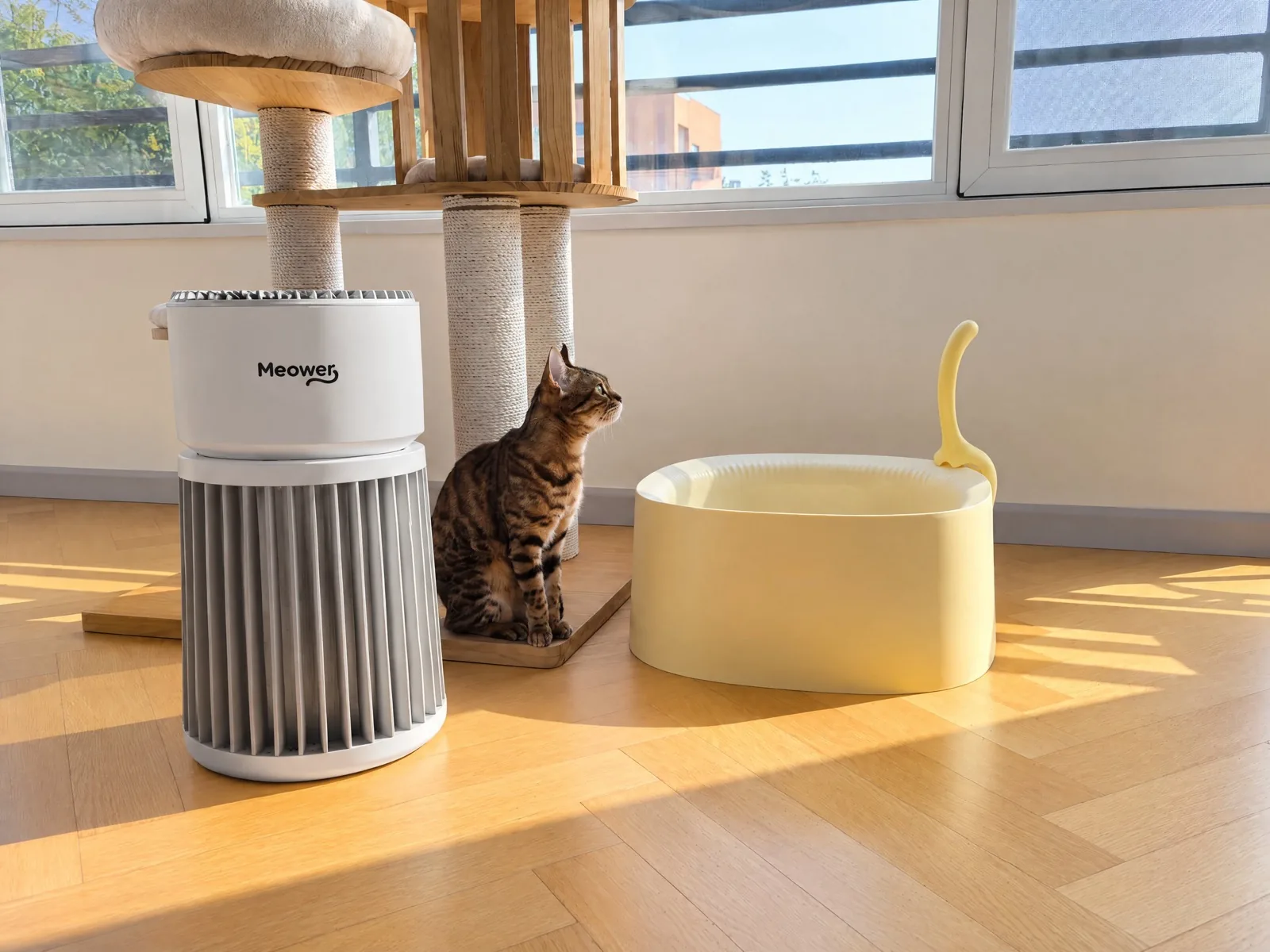 A Bengal cat sitting beside a Meower air purifier and a litter box in a bright, sunlit home